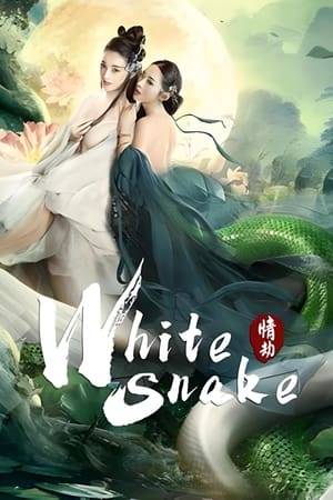 The two sisters of Lingshe Mountain - White Snake and Green Snake - devoted themselves to cultivating of immortality. The White Snake was in danger during the tribulation. Fortunately, Xu Xian, who went to the mountain to search for medicine, rescued her. In a dream White Snake learns the words of the poem "Enter the world, know the warmth and the cold" and enters the city in search of a cause. The Great Demon King of the Yin Division coveted the White Snake's pearl for nearly a thousand years. Knowing that the White Snake is alive, he sent his subordinate judges to seal the city for her search. White Snake meets Xu Xian and cures his classmate Gao Jin's critically ill father. When he finds out that the White Snake is a demon, he tells the Underworld that he will take revenge.
