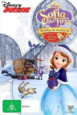Deck the halls and ring in the season! It may be the coldest day of winter, but it's also the warmest, merriest adventure ever for SOFIA THE FIRST. Welcome to the most magical time of the year! This is Sofia's first Winter Holiday in the castle with her new family, but when King Roland goes missing in a raging snowstorm, Sofia leads her mother, Amber and James on a brave expedition aboard a flying sleigh to find him. As the blizzard whirls around them, their hopes are nearly dashed -- until Princess Aurora appears and reminds Sofia that her animal friends might hold the key to finding her dad and reuniting her family. Sparkling with festive fun -- plus four additional song-filled episodes -- HOLIDAY IN ENCHANCIA celebrates the greatest gift of all: spending special days with the people you love!