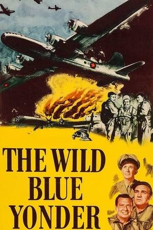 Wendell Corey and Forrest Tucker star as a pair of World War II Army Air Corps officers. In between their battles over the affections of a beautiful nurse, Corey and Tucker prepare to fly a bombing mission in the South Pacific. Before boarding their B29 Superfortress, Tucker appears to be chickening out, but he's steadfastly at his cockpit post at takeoff time.