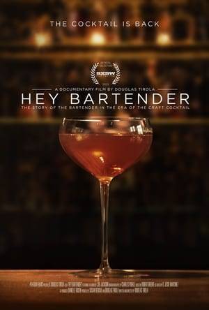 Two bartenders try to achieve their dreams through bartending. An injured Marine turns his goals to becoming a principal bartender at the best cocktail bar in the world. A young man leaves his white collar job to buy the corner bar in his hometown, and years later he struggles to keep it afloat. Featuring the world's most renowned bartenders and access to the most exclusive bars in New York, this is the story of the comeback of the cocktail and the rebirth of the bartender.