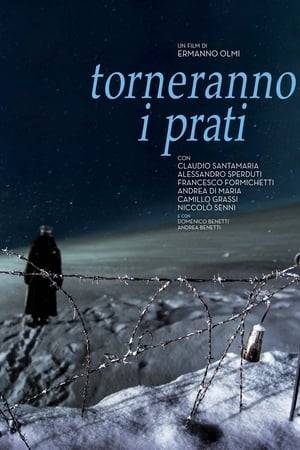 World War I, Italian north-eastern front after the 1917 bloody battles on the Altipiano. A group of soldiers face the difficulty of war in a story that unfolds in the space of one night. Events follow one after the other without any kind of pattern: the peaceful mountains suddenly become a place where men die. But every story told in this film is a true story.