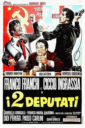 Francesco and Franco are brothers in law but, since their respective wives can't stand each other, are always arguing. When Francesco decides to run for Parliament, Franco is kidnapped by his opposing party and forced to run as well. The clashes between the two in-laws will continue in Parliament.