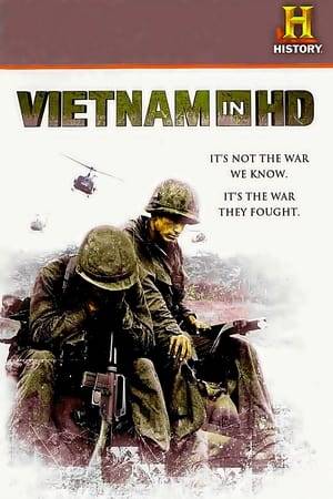 The firsthand experiences of thirteen Americans during the Vietnam War. The thirteen Americans retell their stories in Vietnam paired with found footage from the battlefield.