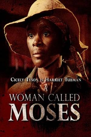 A television miniseries based on the life of Harriet Tubman, the escaped African American slave who helped to organize the Underground Railroad, and who led dozens of African Americans from enslavement in the Southern United States to freedom in the Northern states and Canada.