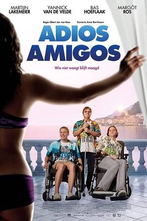 Three young guys with disabilities want to go on a party holiday in Salou, just as their friends do. Only their parents block this idea. But then a caretaker, found on the internet, makes the dream possible. Adios Amigos is a remake of the Belgium movie Hasta La Vista.