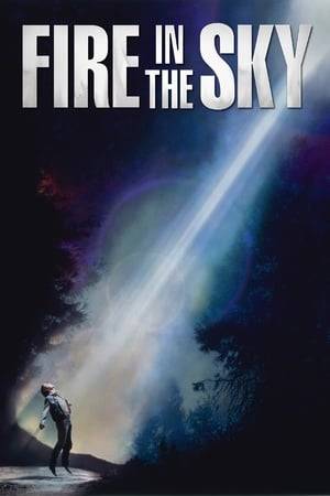 A group of men who were clearing brush for the government arrive back in town, claiming that their friend was abducted by aliens. Nobody believes them, and despite a lack of motive and no evidence of foul play, their friends' disappearance is treated as murder.