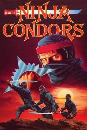 A noble-minded ninja rejects corruption and works with an undercover cop to defeat the evil student of his old master.
