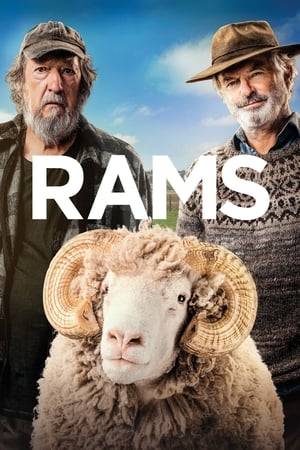 In remote Western Australia, two estranged farmer brothers, Colin and Les, are at war. But when Les' prize ram is diagnosed with a rare and lethal illness, authorities order a purge of every sheep in the valley—so the brothers must work together to reunite their family, save their herd, and bring their community back together.