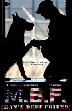 An engaging tale that shows the parallels between the treatment of wounded military veterans and 'last chance' shelter dogs.