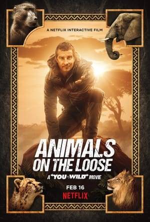 When there’s a power outage at a safari reserve, Bear Grylls is called and he needs your help. The situation is dire: an escaped lion is headed for a nearby village; a baboon has broken free and is going towards the sea cliffs, and the power must be restored before more animals escape.