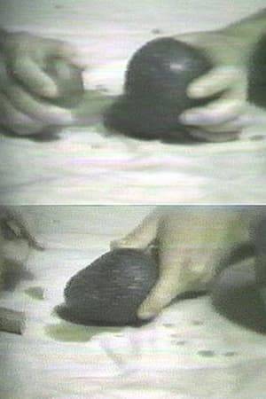 "The performer describes how to shrink a head, using an avocado and its pit that is recorded on one audio channel. The other props include a table cloth a pan of water and a wine cork. The second audio channel plays a tape made by Tamara Rand, a sex therapist and psychic who describes how to maintain an erection and how to get away from poor self-image by placing that image in a 'black box' and throwing it away." - Askevold