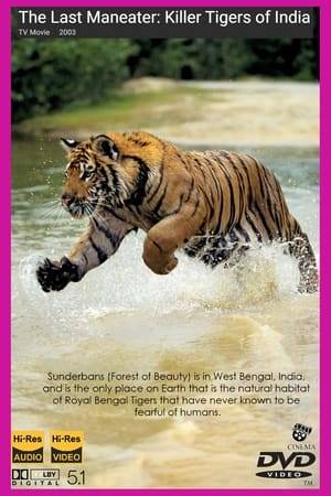 Sunderbans (Forest of Beauty) is in West Bengal, India, and is the only place on Earth that is the natural habitat of Royal Bengal Tigers that have never known to be fearful of humans. One tiger has been known to kill three fully grown men, leaving behind orphans and widows who belong to poor tribes, dependent on harvesting wild honey and fishing, in a swampy mangrove region. About 80 people are killed annually by these ferocious beasts with razor-sharp jaws, whose forepaws can shatter bones, and sharp teeth can pierce a skull in one bite. Amidst religious superstitions, the narrator attempts to explain the cause behind their taste for human meat in a region devoid of electricity, roadways, firearms and safe drinking water, and why the villagers continue to live there despite of being stalked and mauled on land and water alike.