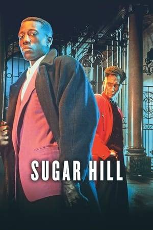 In the Harlem neighborhood of New York City, the Mafia steps in when a drug dealer quits his partner brother to lead a straight life with his girlfriend.