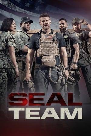 Military drama following the professional and personal lives of the most elite unit of Navy SEALs as they train, plan and execute the most dangerous, high stakes missions our country can ask of them.
