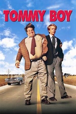 To save the family business, two ne’er-do-well traveling salesmen hit the road with disastrously funny consequences.