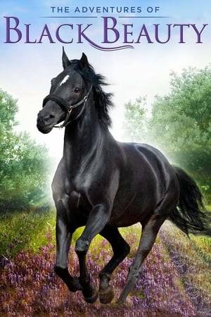 Black Beauty is a pure black, thoroughbred horse in late 19th Century rural England who is adopted into the household of James Gordon, a local doctor and widower, and befriended by his daughter Vicky, son Kevin, and their friends Albert and Robbie.
