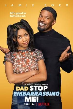 A single dad and cosmetics brand owner figures out fatherhood on the fly when his strong-minded teen daughter moves in with him.