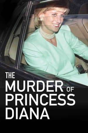 Rachel, an American journalist in Paris, is present the night of the fateful accident of Princess Diana and witness to the crime scene. As she starts to investigate, Rachel uncovers information that leads her to believe this was no accident, and she soon learns that there are people out there who will stop at nothing to silence her.