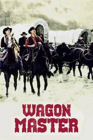 Two young drifters guide a Mormon wagon train to the San Juan Valley and encounter cutthroats, Navajo, geography, and moral challenges on the journey.