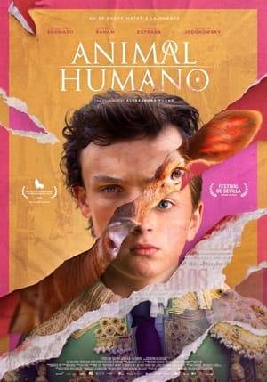 An Italian boy dreams of becoming a bullfighter. In the sunny Andalusian pasture, a calf is born destined to be a fighting bull. Humans and animals grow up in totally different worlds, but their lives reflect each other. Only in the end will they meet.