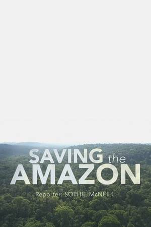 The Amazon plays a vital part in regulating the planet's temperature. Yet, last year, forest destruction in the Brazilian Amazon soared by 85 per cent. Illegal logging and slash-and-burn agriculture are decimating the land. With huge profits to be made, the Amazon is a dangerous place to ask questions. Despite the threat, the Amazonian tribes want the world to hear their message.