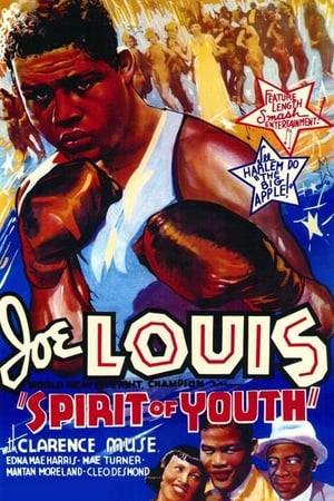 The story of the rise of boxer Joe Thomas, which paralleled the life of Joe Louis.