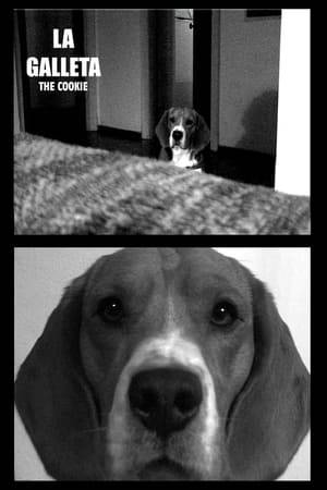 A dog wants to eat the cookies of its owner.