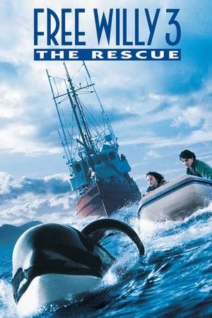 Willy the whale is back, this time threatened by illegal whalers making money off sushi. Jesse, now 16, has taken a job on an orca-researching ship, along with old friend Randolph and a sarcastic scientist, Drew. On the whaler's ship is captain John Wesley and his son, Max, who isn't really pleased about his father's job, but doesn't have the gut to say so. Along the way, Willy reunites with Jesse