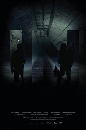 A man gets a phone call from an acquaintance, asking for help. They must retrieve something lost inside a train tunnel. They must do it in the middle of the night. "In" is an psychological thriller set in the quiet country of Sweden, where people are hiding behind drawn blinds even though the closest neighbor live miles away. A place where you do not know who live in your apartment building or not even the people you play hockey with every week. We follow the two men into the darkness as they are forced to come closer together. And in spite of all confinement, there is still something left open, an escape, or an abyss, deep down in the dark.
