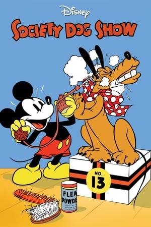 Rather out of place at a swanky dog show, Pluto flirts with Fifi, a dainty Pekingese. The judge orders Mickey and Pluto to leave, but when a fire breaks out Pluto rescues Fifi and is proclaimed a hero.
