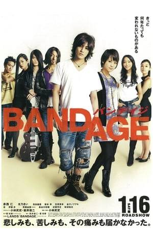 Set in the 1990s during Japan's "band boom" era, the film tells the tale of a girl in high school, Asako, who goes to a concert and meets Natsu, vocalist of the new band LANDS. Asako ends up being the band manager, but as the band's popularity starts to soar, the band's friendship begins to suffer.