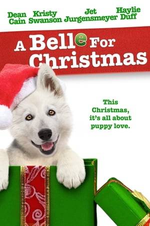Family film about a pair of children whose father's girlfriend has kidnapped their dog.  Dean Cain stars as Glenn Barrows, a recent widower doing his best to raise his young kids Elliot and Phoebe, who really miss their mother. Things start to look up when the Barrows adopt an adorable puppy named Belle during the holiday season. Just as the healing seems to have begun, Glenn's dog-hating, gold-digging new girlfriend spoils their newfound happiness by sending Belle away. Will the young kids pull off a daring Christmas Eve rescue of their beloved new pet? Haylie Duff co-stars in this heartwarming comedy about family, friendship, and a four-legged holiday miracle.