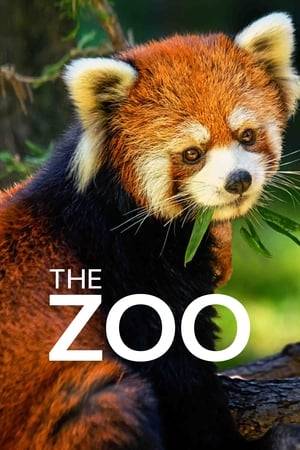 A behind-the-scenes look at the Bronx Zoo focuses on its thousands of animals, hundreds of employees and mission to conserve wildlife around the world.