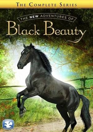 The New Adventures of Black Beauty was the title of a television drama series produced in the early 1990s.