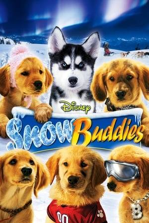 Dylan Sprouse, Jim Belushi and Kris Kristofferson lend their voices to this family-friendly tale about a feisty pack of golden retriever puppies that embarks on an Alaskan adventure. When they find themselves stranded in the northern wilderness, the canine offspring of famed sports star Air Bud team up with an experienced sled dog and a husky pup, who teach them the importance of working together.