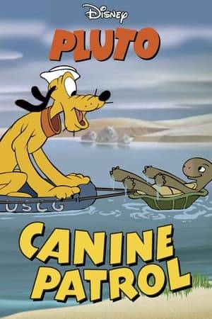 Pluto is patrolling a beach for the Coast Guard when a baby turtle hatches. The turtle keeps trying to sneak into the restricted zone to swim, and Pluto keeps trying to stop him. But when Pluto stumbles into some quicksand, he suddenly needs help from his foe.