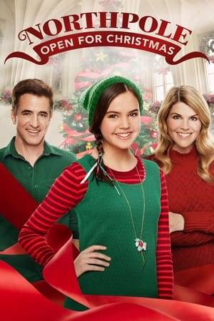 A successful businesswoman, Mackenzie, inherits her beloved aunt's inn, and chooses to restore the hotel to its original grandeur only to sell it right before Christmas. Unbeknownst to Mackenzie, she receives some unexpected help from a team of elves headed by the cheerful Clementine, who helps Mackenzie rediscover the true meaning of Christmas.