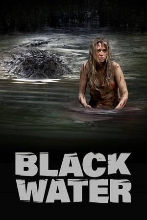 Based on true events, Grace, her boyfriend Adam, and her younger sister, Lee, are on holiday in Northern Australia when they decide to take a tour down a river. As they drift into a swamp, their boat suddenly capsizes. Stranded in the flooded swamp, the three tourists must figure out what to do to survive as they realize they are being watched through the black water.