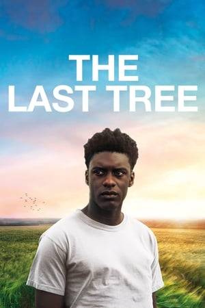 Femi is a British boy of Nigerian heritage who, after being fostered in rural Lincolnshire, moves to inner-city London to live with his birth mother. Struggling with the unfamiliar culture and values of his new environment, teenage Femi has to figure out which path to adulthood he wants to take.
