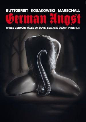 Horror anthology consisting of three episodes directed by Jörg Buttgereit, Andreas Marschall and Michal Kosakowski.