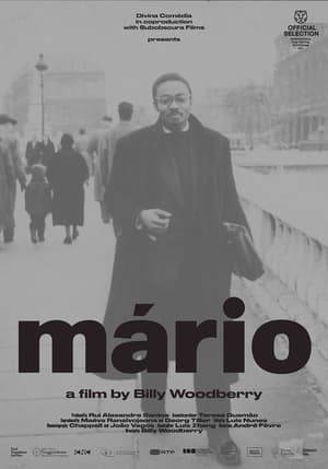 Are even the best and brightest revolutionary movements doomed to inevitable compromise, betrayal and failure? That question haunts this documentary, a biography of Angolan-born Mário Pinto de Andrade (1928–1990), a key figure in African revolutionary and anti-colonial struggles.