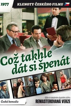The heroes of this absurd comedy, full of confusion and humor are Dzharda Zemanek and Frantisek Liska.
