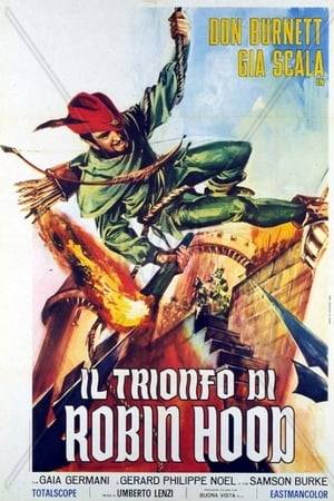 Adventure film about the popular hero Robin Hood, and how he and his partisans take on the defence of King Richard Lion-Heart's interests against his brother John, while the former is in the Holy Land.