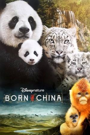 Venturing into the wilds of China, "Born in China" captures intimate moments with a panda bear and her growing cub, a young golden monkey who feels displaced by his baby sister, and a mother snow leopard struggling to raise her two cubs.