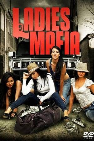 Tori, a beautiful young woman, accidentally ends up with a criminal's merchandise and is accused of the death of a member of a Colombian cartel: “El Jefe.” Desperate Tori asks for help from her friends Camila and Priz. The three decide to sell the product to a well-known local cartel to solve their problems and request the help of "Shakira", a hitwoman who knows the market, but they do not know that the buyer with whom they are doing business is the original owner of the merchandise.