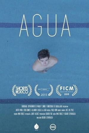 Mexican short about a boy who falls in love with his new swimming partner.