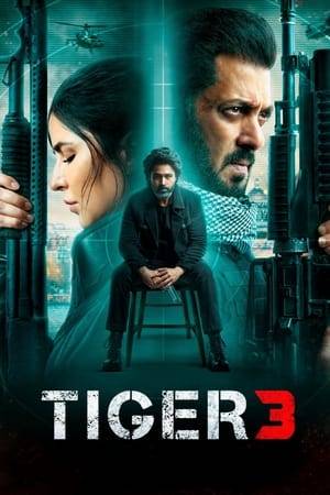 Following the events of Tiger Zinda Hai, War, and Pathaan, Avinash Singh Rathore returns as Tiger but this time the battle is within. He has to choose between his country or family as an old enemy is after his life, who claims that his family was killed by Tiger. He holds Tiger captive in Pakistan as the Indian agent's loyalty towards his country faces its biggest test.