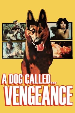A political prisoner in a South American dictatorship escapes and is pursued throughout the country by a bloodthirsty dog.