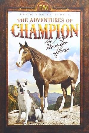 The Adventures of Champion follow a wild stallion named Champion, who remarkably becomes friends with a young boy named Ricky North.The show followed the boy and the horse as they went on crazy adventures in the Southern West during the late 1800s.