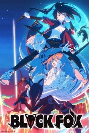 Rikka is a ninja descendant. Her grandfather Hyoe is the last chief of their ninja clan and her father is a cyborg researcher. Both are killed when a weapons' company raids his lab to use his research. Rikka sets out to avenge their deaths.
